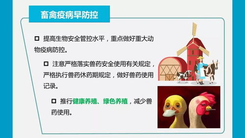 疫情防控期間強化農產品質量安全監管，嚴防禁用獸藥等風險隱患